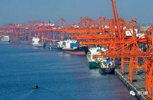 厦潮合建码头雏形初现，助力区域协同发展计划明年上半年投用