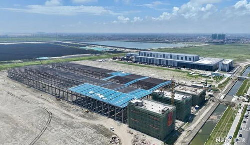 启东 以满格状态续写码头建设与管理的高质量发展新篇章