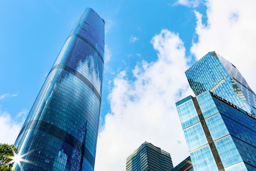 青岛凯撒旅业成立码头运营管理公司，深化文旅产业布局