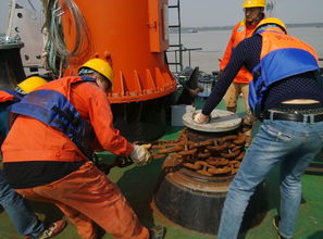 芜湖二桥航道专用码头 助力区域航运升级，开启高效管理新篇章