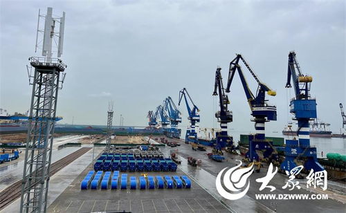 探访烟台港“万能”件杂货码头 以绿色力量开启国际物流新篇章