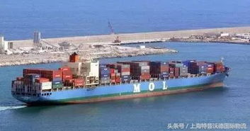 广州中山佛山共建南沙港区四期码头 区域协同再启航